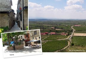 Laguardia / Blick über die Weingärten des Rioja