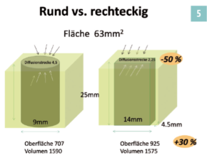 Neben einem biomechanischen Vorteil wird bei flachen Transplantaten auch der Knochen-Sehnen Kontakt um ca. 1/3 erhöht